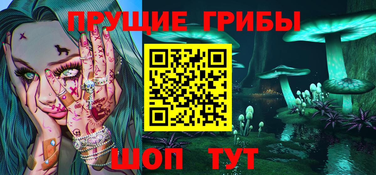 Истра  Псилоцибиновые грибы Magic Shrooms  Вход с VPN  Галлюциногенные грибы GOLDEN TEACHER 
